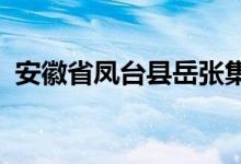 安徽省鳳臺(tái)縣岳張集鎮(zhèn)觀音中學(xué)的地址在哪