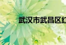 武漢市武昌區(qū)紅嶺小學的地址在哪
