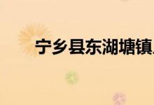 寧鄉(xiāng)縣東湖塘鎮(zhèn)月湖小學的地址在哪