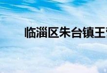 臨淄區(qū)朱臺鎮(zhèn)王營幼兒園的地址在哪