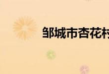 鄒城市杏花村小學的地址在哪