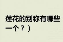 蓮花的別稱有哪些（荷花的十大別稱你喜歡哪一個？）