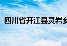 四川省開江縣靈巖鄉(xiāng)土地坪小學(xué)的地址在哪