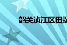韶關湞江區(qū)田螺沖中學的地址在哪