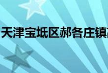 天津?qū)氎鎱^(qū)郝各莊鎮(zhèn)高臺中心小學(xué)的地址在哪