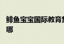 鯡魚寶寶國際教育集團(雙語幼兒園)的地址在哪