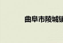 曲阜市陵城鎮(zhèn)中學的地址在哪