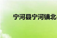 寧河縣寧河鎮(zhèn)北岳莊小學的地址在哪
