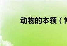 動物的本領(lǐng)（常見小動物的本領(lǐng)）