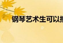 鋼琴藝術(shù)生可以報考哪些高校和學(xué)校？