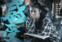 2022年5月：投資斷橋有哪些收益？怎么分紅？