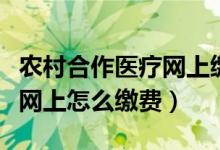 農(nóng)村合作醫(yī)療網(wǎng)上繳費怎么交（農(nóng)村合作醫(yī)療網(wǎng)上怎么繳費）