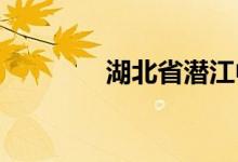 湖北省潛江中學(xué)的地址在哪