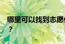 哪里可以找到志愿代碼查詢2022的專業(yè)代碼？