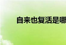 自來也復(fù)活是哪一集（自來也介紹）