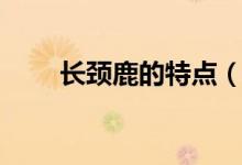 長頸鹿的特點(diǎn)(長頸鹿的特點(diǎn)習(xí)性)