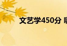 文藝學(xué)450分 哪個(gè)專業(yè)比本科好？