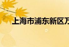 上海市浦東新區(qū)萬祥幼兒園的地址在哪
