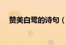 贊美白鷺的詩句（贊美白鷺的詩有哪些）