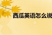 西瓜英語怎么說（西瓜的英語單詞）