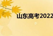 山東高考2022如何填報(bào)96志愿？