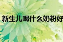 新生兒喝什么奶粉好（新生兒喝怎樣奶粉好）