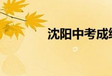 沈陽中考成績查詢?nèi)肟?022