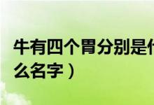 牛有四個胃分別是什么（牛有四個胃分別是什么名字）