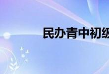 民辦青中初級中學的地址在哪