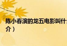 陳小春演的龍五電影叫什么名字（陳小春演的龍五電影的簡介）