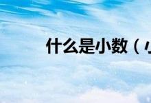什么是小數(shù)（小學什么叫做小數(shù)）