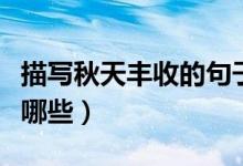 描寫秋天豐收的句子（關(guān)于秋天豐收的句子有哪些）