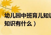 幼兒園中班育兒知識（關(guān)于幼兒園中班的育兒知識有什么）