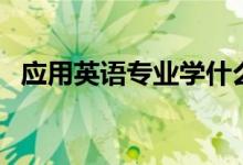 應用英語專業(yè)學什么（應用英語就業(yè)方向）