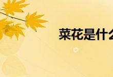 菜花是什么（菜花簡介）