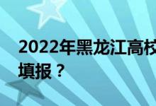 2022年黑龍江高校專升本志愿什么時候開始填報？