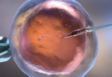 法學(xué)教授通過陽剛之氣理論的視角探討家庭法和生殖健康問題