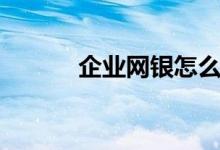 企業(yè)網(wǎng)銀怎么用（一起來看看）