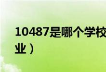 10487是哪個學校代碼（學校有哪些好的專業(yè)）