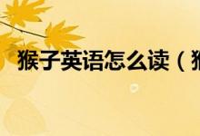 猴子英語怎么讀（猴子的英語單詞是什么）