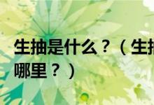 生抽是什么？（生抽、老抽、醬油……區(qū)別在哪里？）