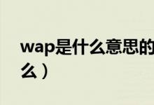 wap是什么意思的縮寫（wap縮寫意思是什么）