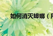 如何消滅蟑螂（用這四個方法來消滅）