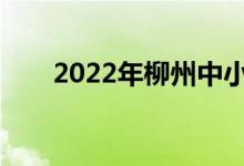 2022年柳州中小學什么時候放暑假？