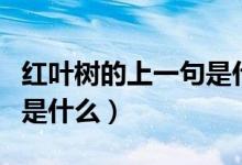 紅葉樹的上一句是什么（幾行紅葉樹的下一句是什么）