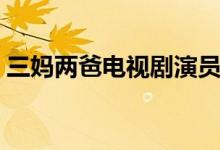 三媽兩爸電視劇演員表（三媽兩爸劇情簡介）