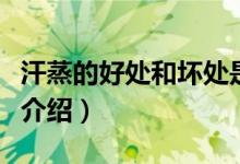 汗蒸的好處和壞處是什么（汗蒸的好處和壞處介紹）