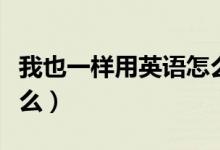 我也一樣用英語怎么說（我也一樣的英語是什么）