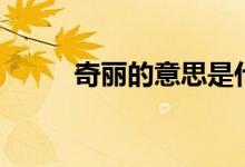 奇麗的意思是什么（奇麗的含義）