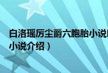 白洛瑤厲塵爵六胞胎小說(shuō)叫什么名字（白洛瑤厲塵爵六胞胎小說(shuō)介紹）